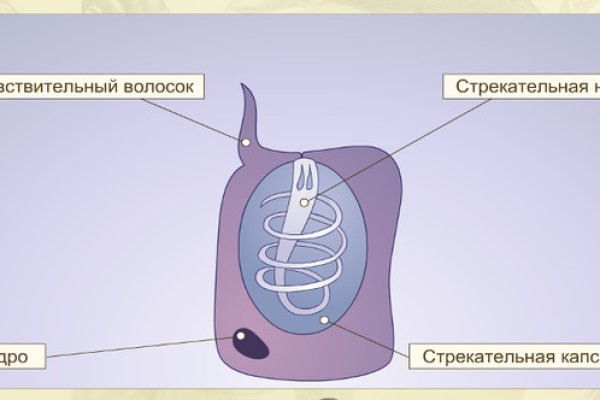 Сайт кракен не работает почему