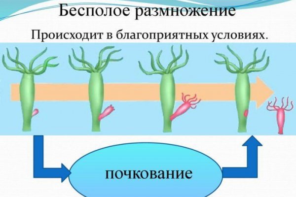 Кракен шоп ссылки